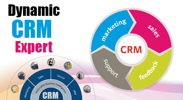 Dynamic CRM Software